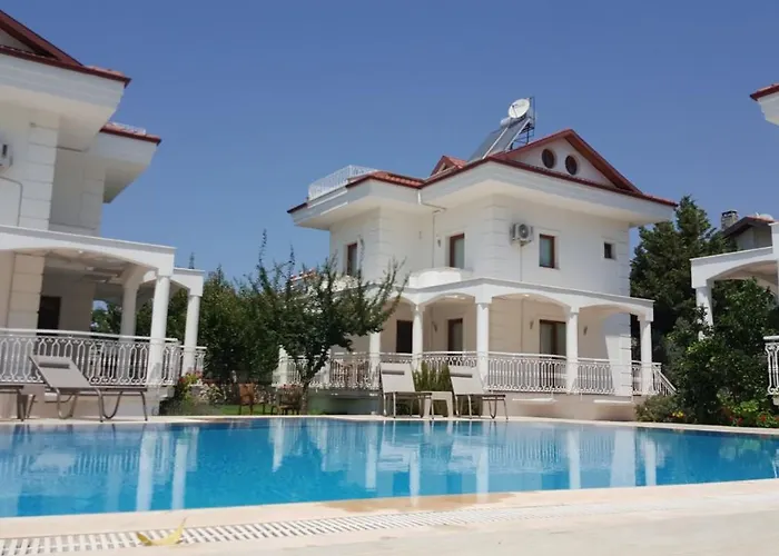 Ekin * Φετιγιέ